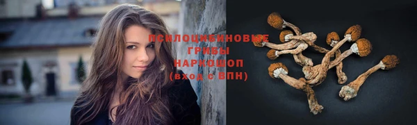 спиды Белая Холуница