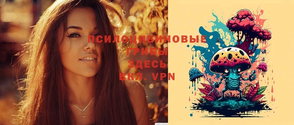 сатива Нефтегорск