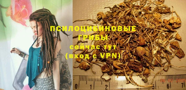 мет Нея