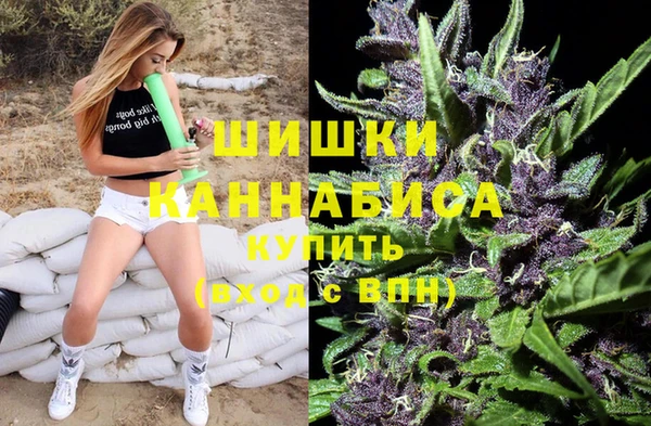 сатива Нефтегорск