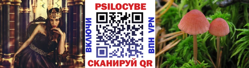 Псилоцибиновые грибы Cubensis  гидра зеркало  Питкяранта  где можно купить  